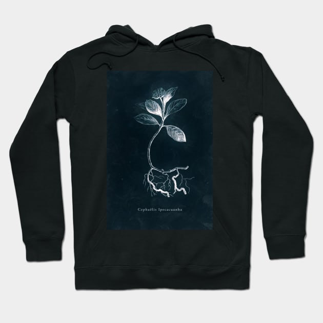 Cyanotype - Cephaelis Ipecacuanha Hoodie by PixelHunter